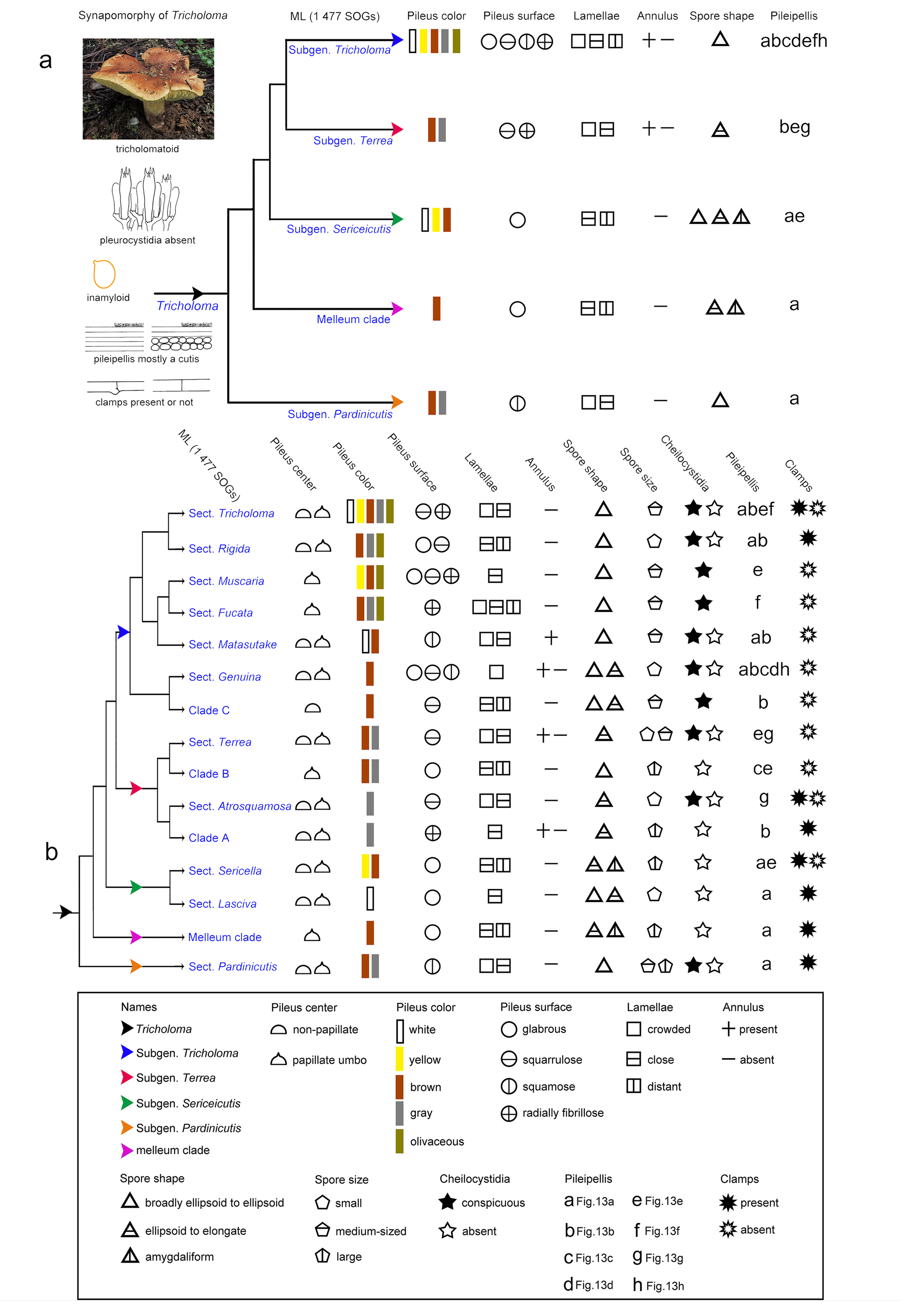 Figure 14